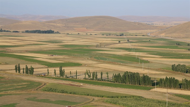 Arazi toplulaştırma çiftçiye yüzde 50 tasarruf sağlayacak.