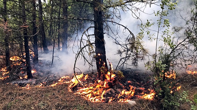 Karabük’teki orman yangınlarında son durum