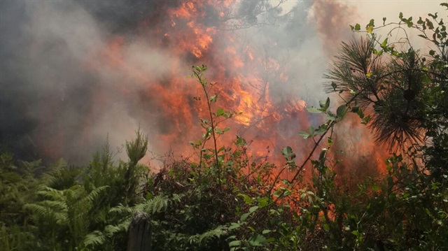 Zonguldak'ta orman yangınına müdahale sürüyor! İşte son gelişmeler