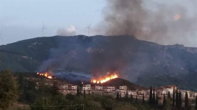 Aydın’da 3 ayrı yerde orman yangını çıktı