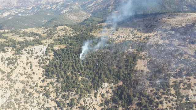 Nallıhan'daki orman yangını-Ankara haberleri
