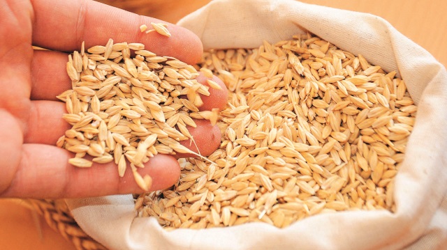 Kamil Yılmaz,: Sertifikalı tohum şart