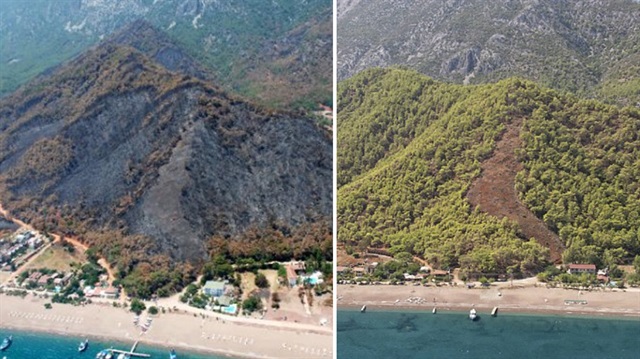 Orman ve Su İşleri Bakanı Veysel Erdoğlu, Adrasan’ın yangın sonrası ve ağaçlandırılmış haldeki bugünkü durumunu paylaşıp 1 yıl içinde 250 bin fidan dikildiğini açıkladı.​