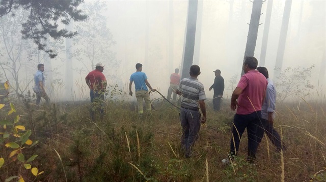Kars'ta orman yangınında 2 hektarlık alan zarar gördü