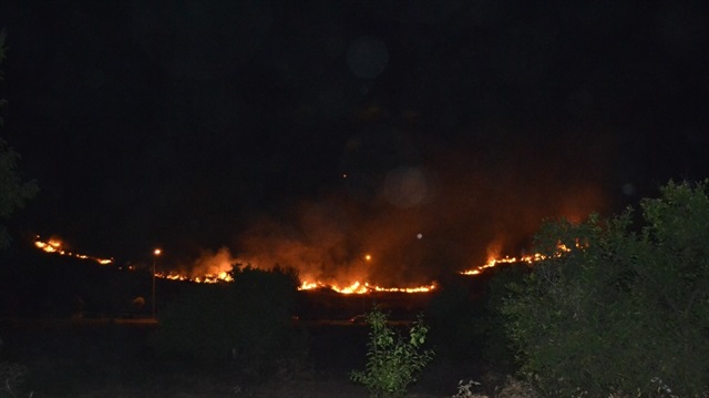 Adana’da makilik alanda yangın paniği