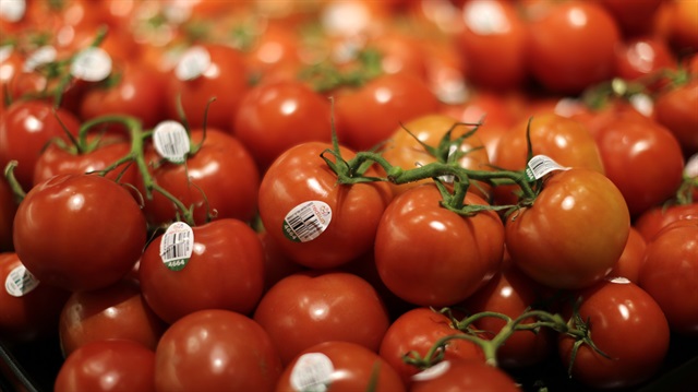 Rus tarım ürünleri denetim ajansından 'domates' açıklaması.