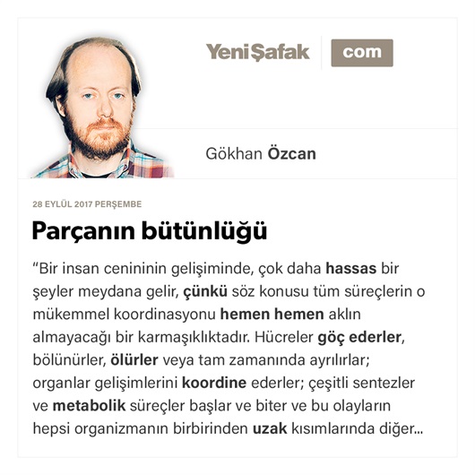 Parçanın bütünlüğü
