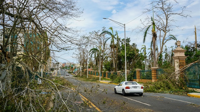 Kasırgalar, söz konusu bölgelerde ekonomik üretimi de olumsuz etkiledi.

