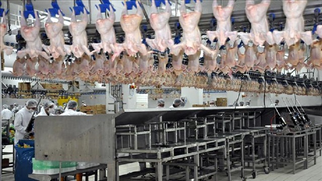 Japonya’ya kanatlı eti ihracatı başlıyor.