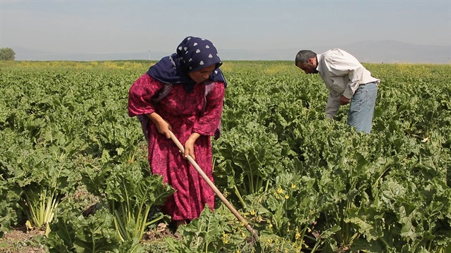 Tarım işletmeleri yüzde 50 ya da daha fazla büyüdüğünde ilave destekler sağlanacak. 