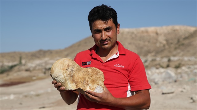 Çoban "Milyon yıllık fosil" buldu