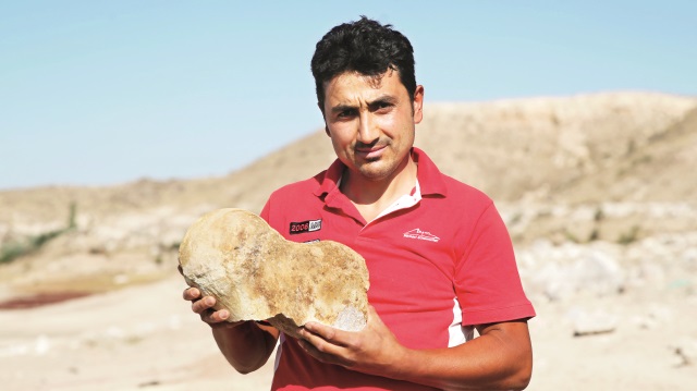 ​Keçi otlatırken fosil buldu
