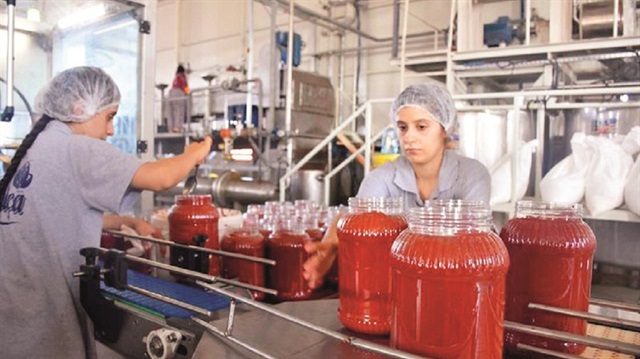 Diyarbakır’da bir girişimcinin devlet desteğiyle kurduğu ilin ilk salça fabrikası 50 kişiye ekmek kapısı oldu. 