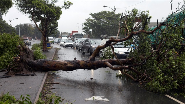 South Africa's Durban Port remains closed after severe storm | Africa