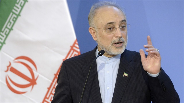 İran Atom Enerjisi Kurumu Başkanı Salihi