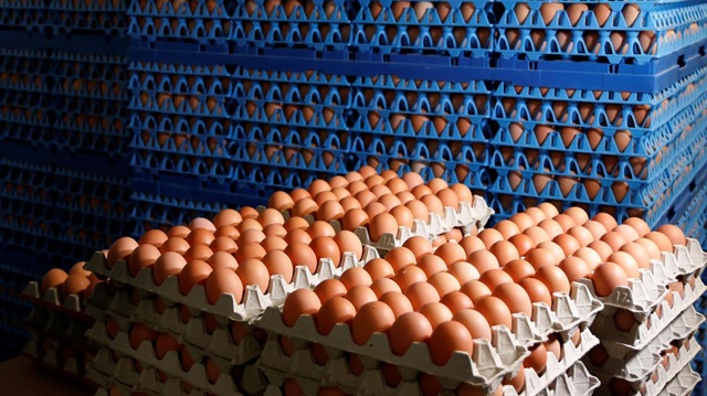 ​Tavuk yumurtası üretimi 1,6 milyar adet olarak gerçekleşti. 