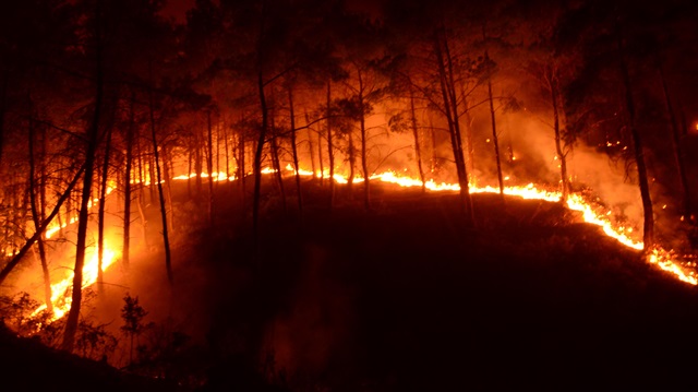 Manavgat'ta 4 ayrı yerde orman yangını çıktı.