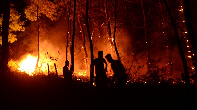 Antalya'nın Manavgat ilçesinde çıkan orman ve arazi yangınlarında toplam 10 hektar ormanlık alan zarar gördü. 