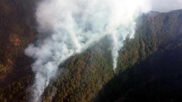 Hatay'daki orman yangınında 4 hektar alan zarar gördü!