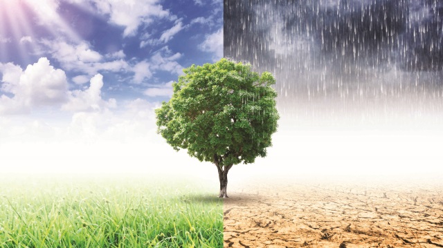 “Türkiye’de İklim Değişikliği ve Tarımda  Sürdürülebilirlik” raporu hazırlandı.