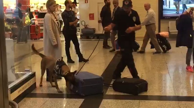 Gece geç saatlerde İstanbul’a gelen Alman yolcuların bagajlarında Narkotik köpekleriyle arama yapıldı