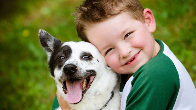 دراسة: الكلاب تحمي الأطفال من الأكزيما والربو
