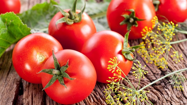 Rusya'ya 1 Kasım'dan itibaren domates göndereceğiz.