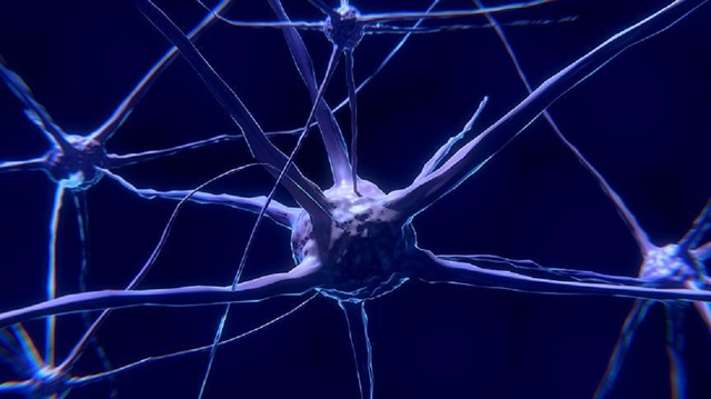 Proje insan beynindeki elektrikle uyarı sisteminin nasıl çalıştığı özellikle alzaymır ve epilepsi gibi hastalıkların tedavi edilmesi için oldukça önem taşıyor.