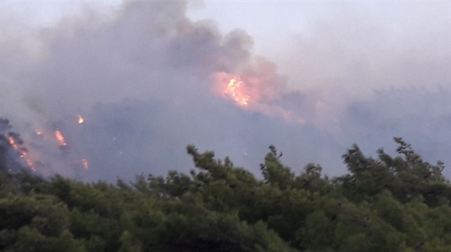 Muğla'nın Datça ilçesinde iki ayrı noktada orman yangını çıktı.