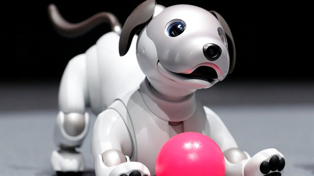 Sony Corp's entertainment robot "aibo" is pictured at its demonstration in Tokyo, Japan 