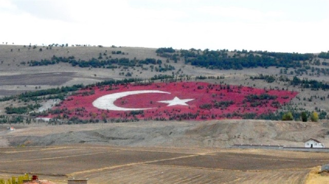 20 bin taş kullanılarak oluşturulan Türk bayrağı.