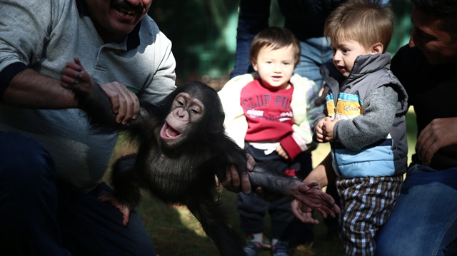 حديقة حيوانات غازي عنتاب التركية تستقبل 3 ملايين زائر