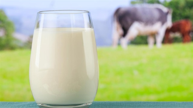 Tire artık süt hayvancılığı ve endüstrisinin başkenti olarak adlandırılıyor.
