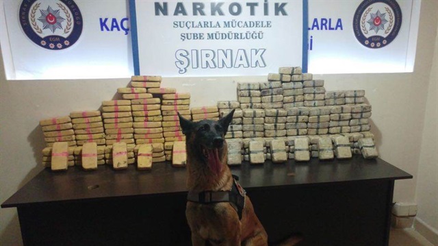Şırnak'ın Cizre ilçesinde gerçekleştirilen operasyonda 120 kilo eroin ele geçirildi. 