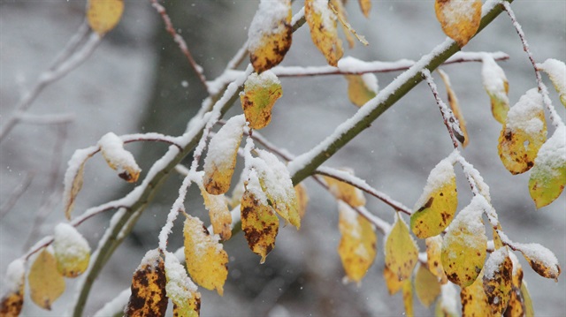 ​Niğde, Nevşehir, Kayseri ve Yozgat'ta okullar tatil mi? Meteoroloji'den kar yağışı uyarısı