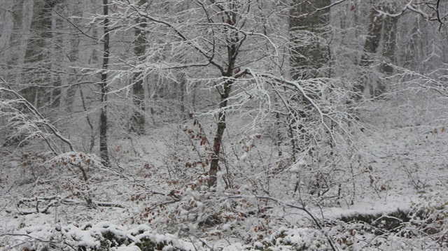 Kırklareli'nde kar yağışı hayatı olumsuz etkiliyor.