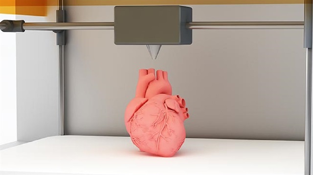 ​Cellink adında bir firma, insanların organ ihtiyacını 3D yazıcılar ile karşılamak için kolları sıvadı.