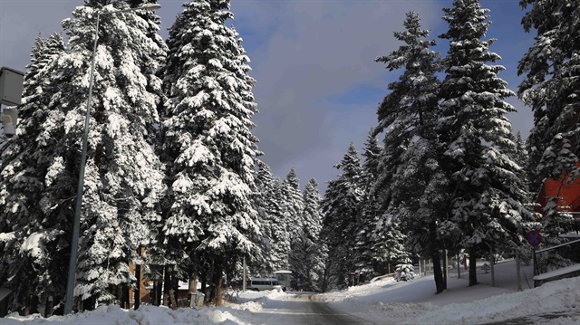 Kastamonu'da kar yağışı sebebiyle 117 köy yolu ulaşıma kapandı.