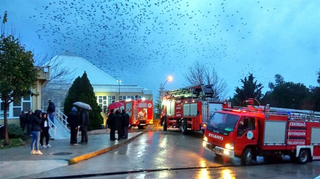 Namık Kemal Üniversitesi'ndeki yangına itfaiye ekipleri müdahale etti