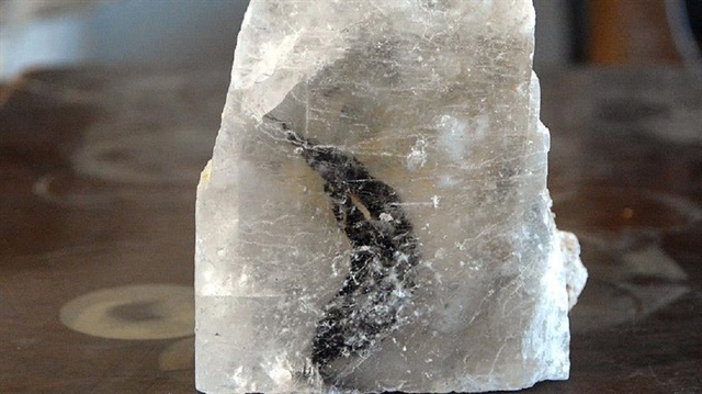 Parçalanan kristal kaya tuzu arasında ilk defa bir yaprak fosiline rastladıklarını vurgulayan Mustafa Demirbilek, bu fosilin incelenmesiyle ocağın geçmişinin de aydınlatılabileceğini, bu nedenle bilim insanlarının incelemesini istediklerini aktardı.