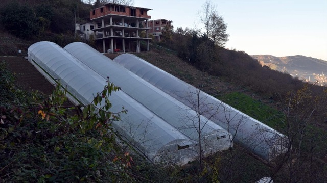 Trabzonlu çift olmaz denileni başardı