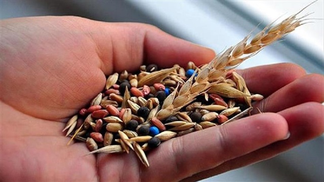 Türkiye 76 ülkeye, 153 milyon dolarlık tohum ihraç etti.