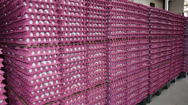 'Yumurtada yılın en yüksek fiyatı' üreticiyi sevindirdi.

