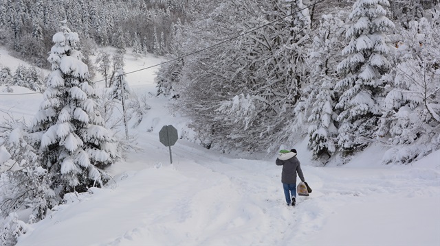 Kastamonu'daki yoğun kar yağışı köy yollarını kapattı.
