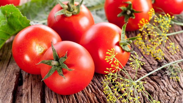 Geçen ay domatesin fiyatı 4 lira civarını buldu.