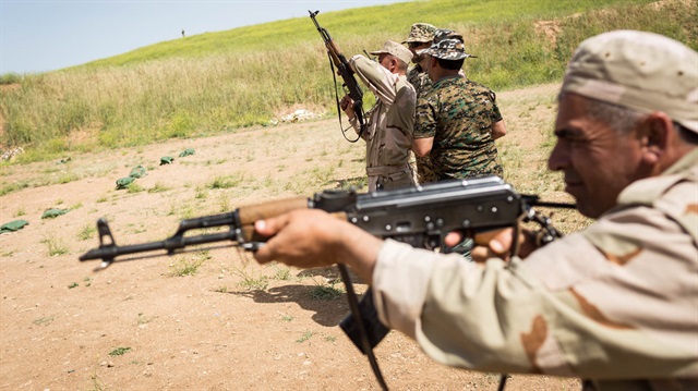 Alman ordusu, Barzani güçlerine askeri eğitim desteği sağlıyordu