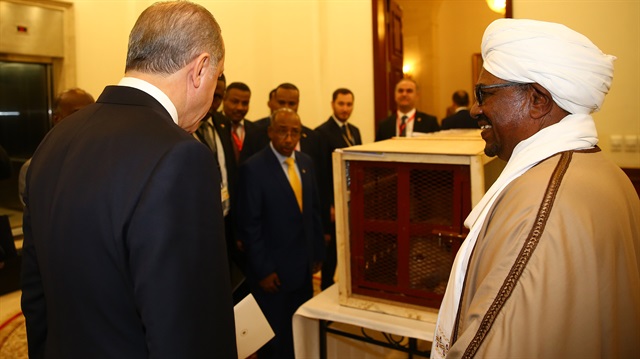 Sudan Devlet Başkanı Ömer El-Beşir, Cumhurbaşkanı Recep Tayyip Erdoğan'a aslan yavrusu hediye etti. (Fotoğraf: Anadolu Ajansı)