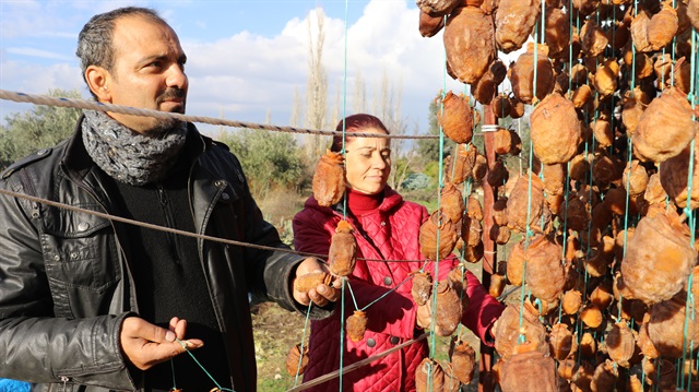 زوجان تركيان يدشنان تجربة ناجحة لتصدير "فاكهة الجنة" إلى بريطانيا
