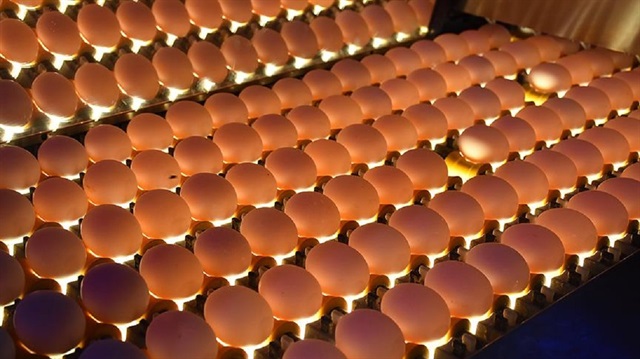 İran krizi yumurta üreticisini hareketlendirdi.