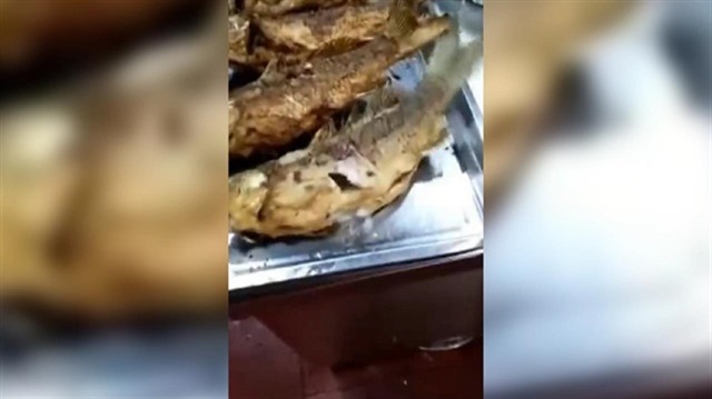 Deep-fried fish served alive and kicking in China